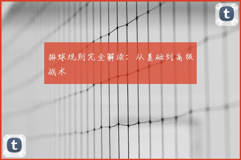 排球规则完全解读：从基础到高级战术
