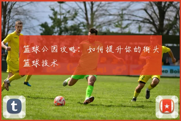 篮球公园攻略:如何提升你的街头篮球技术