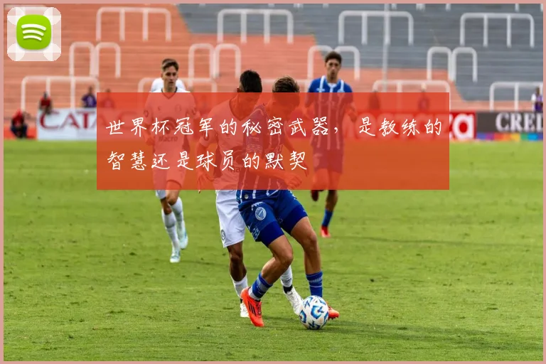 世界杯冠军的秘密武器,是教练的智慧还是球员的默契