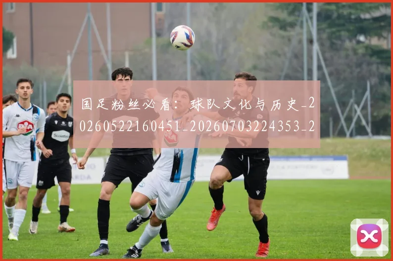 国足粉丝必看：球队文化与历史_20260522160451_20260703224353_20260719165228