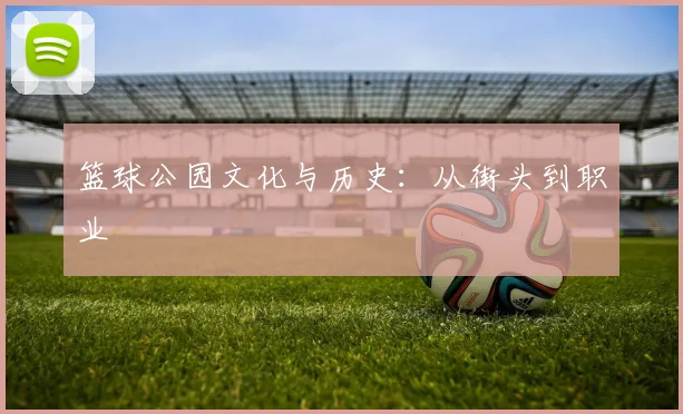 篮球公园文化与历史：从街头到职业