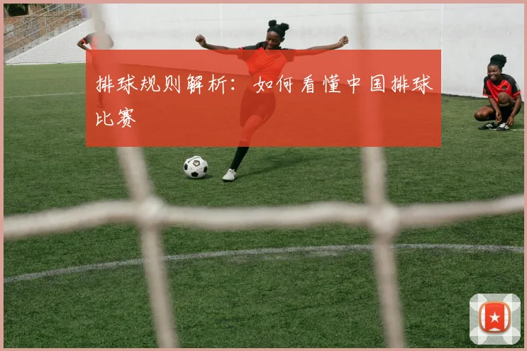 排球规则解析：如何看懂中国排球比赛